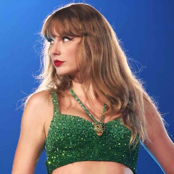 Taylor Swift Rep TV Easter Egg  Hand Designed Purse - Picture 9 of 9